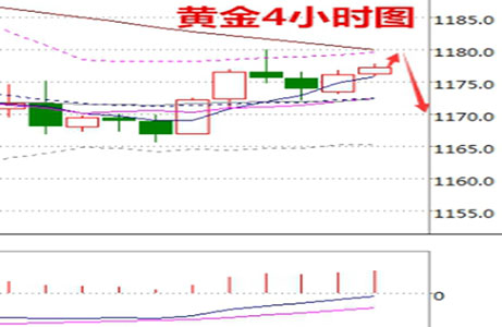 舒浩闻：EIA原油逆势下跌 金价微弹静待欧银会议 名家点评